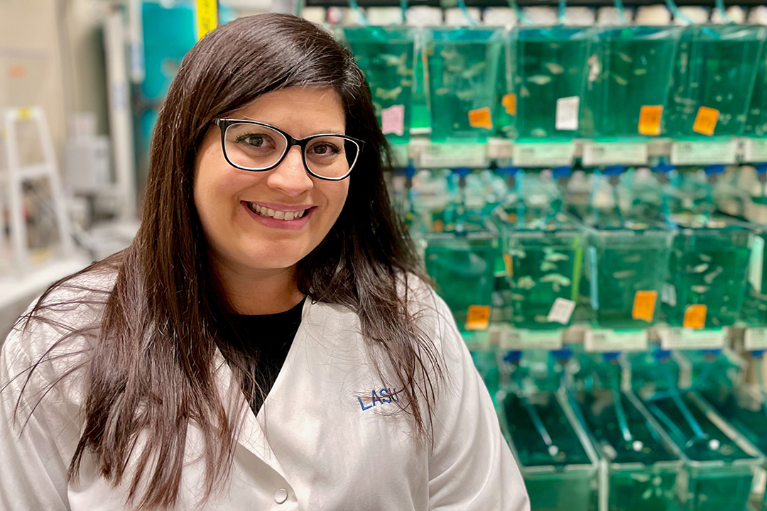 Dr. Michelle Collins (PhD) is using zebrafish to examine genetic factors in cardiac development. (Photo: Jen Quesnel)
